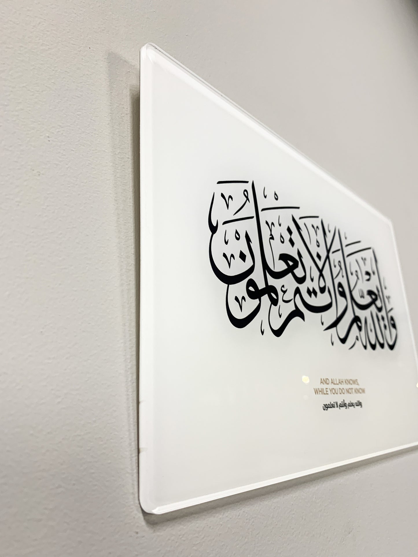 And Allah knows, while you do not…. | WA Surah Baqarah (2:216)
